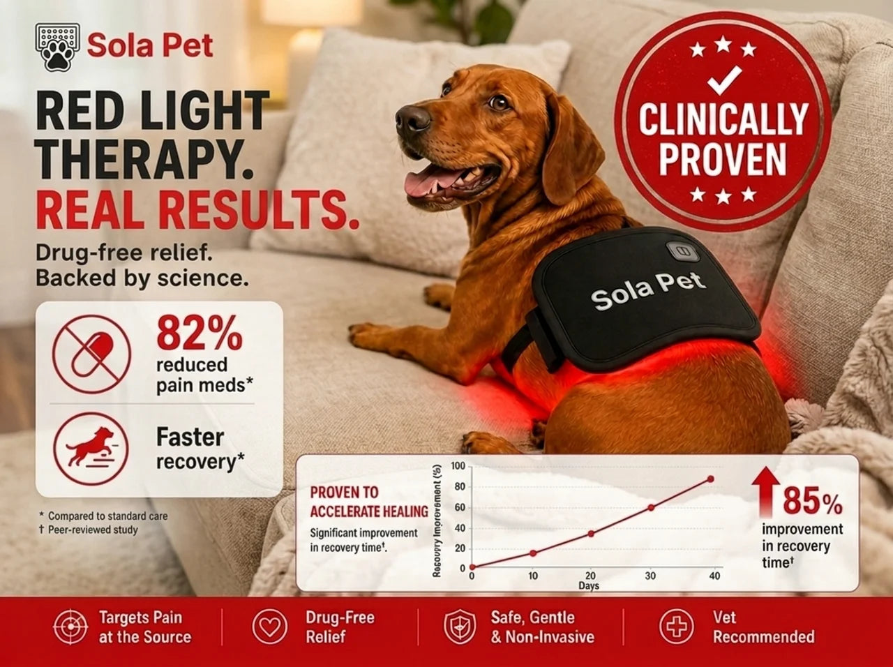 Sola Pet Red Light Pad