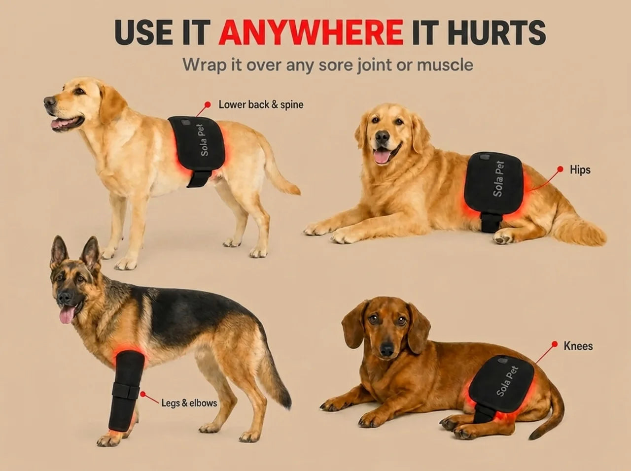 Sola Pet Red Light Pad