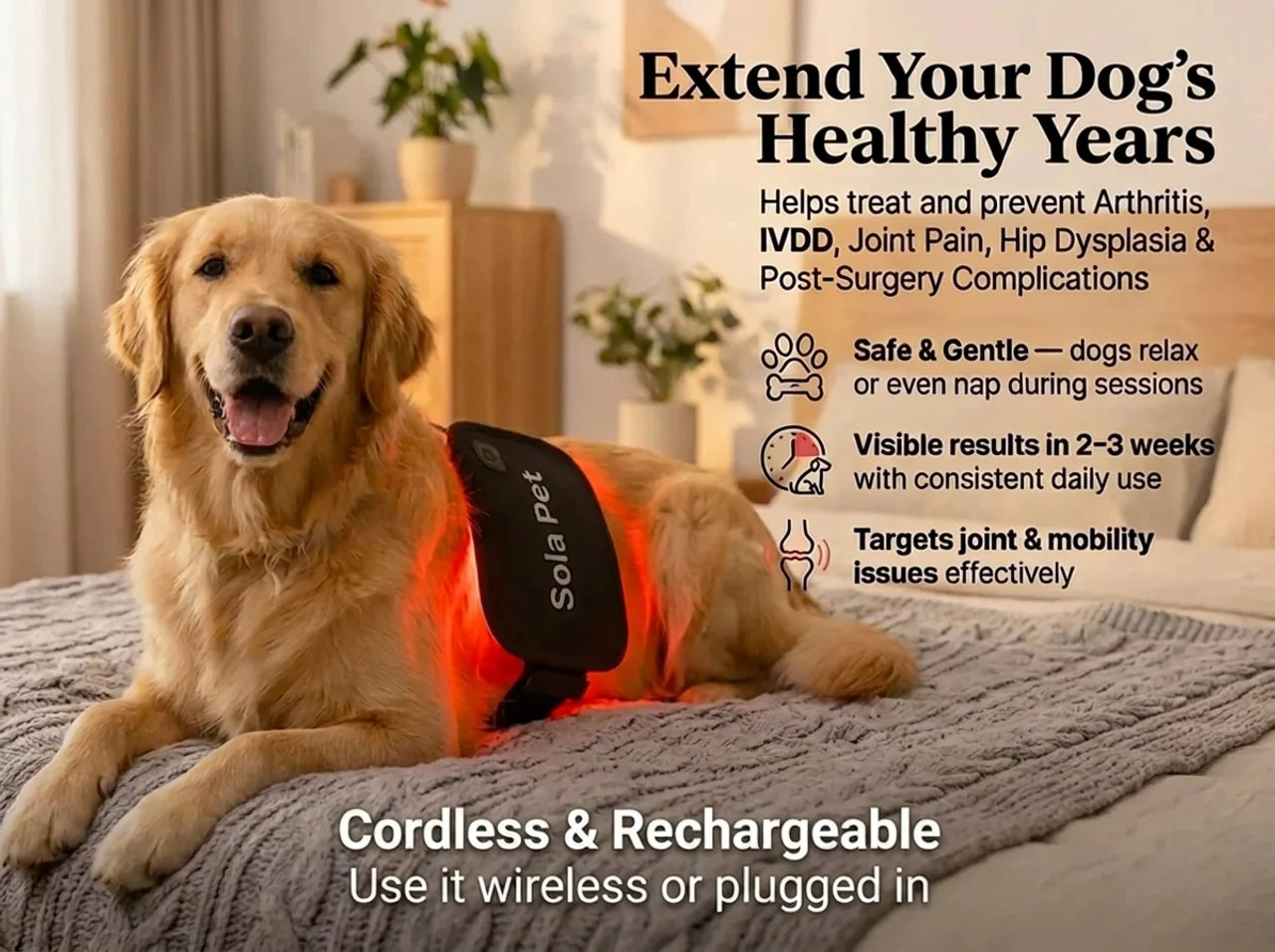 Sola Pet Red Light Pad